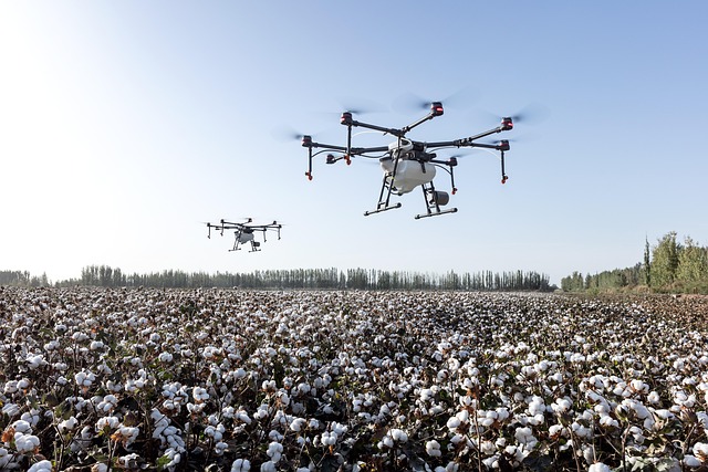 Utilizarea legală a dronelor: ce trebuie să știi înainte de a zbura