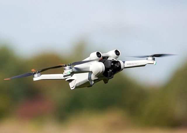 Tehnologie la înălțime: cele mai bune modele de drone pentru un buget mediu în 2025